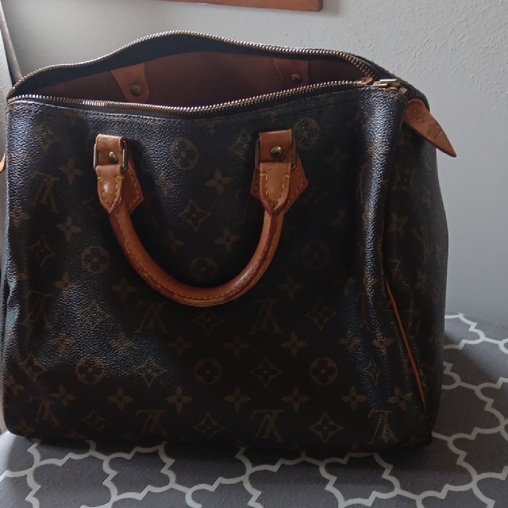 Louis Vuitton Monogram Bag with Brown and Tan Details